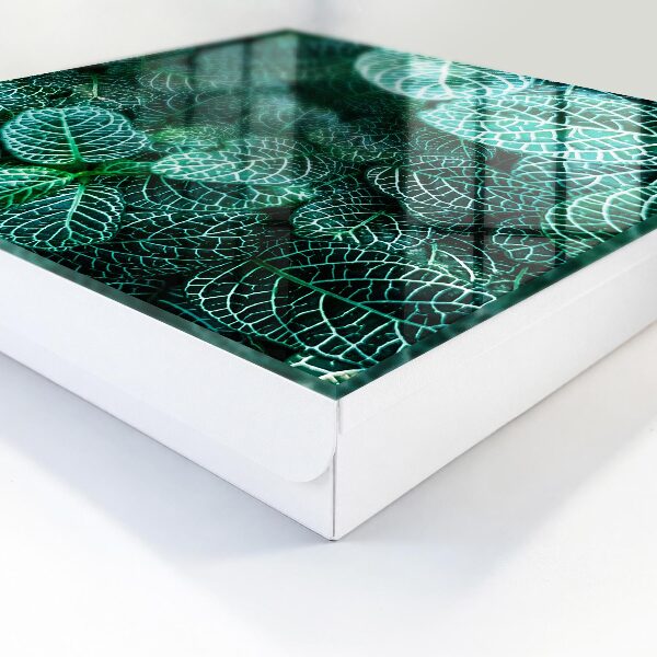 Key storage box Green patterns
