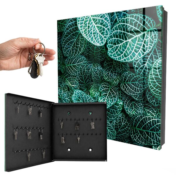 Key storage box Green patterns