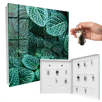 Key storage box Green patterns