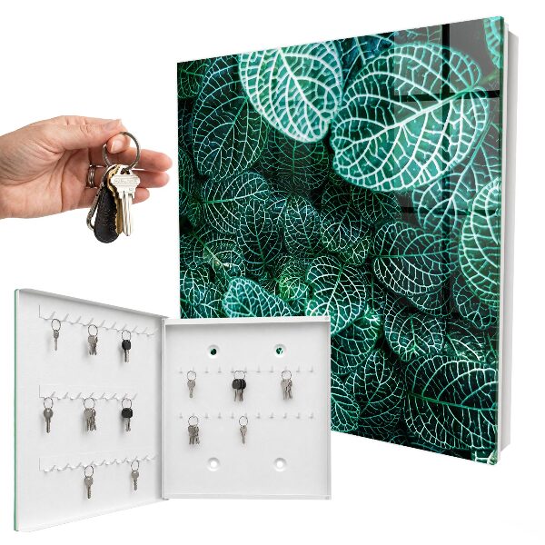 Key storage box Green patterns