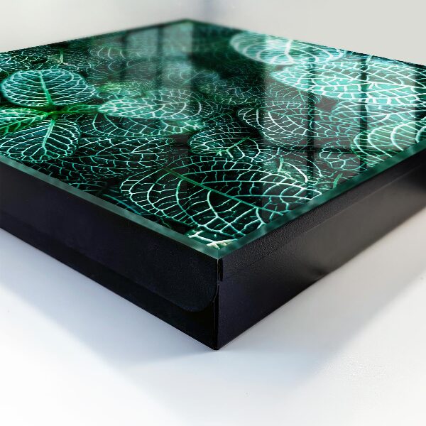 Key storage box Green patterns