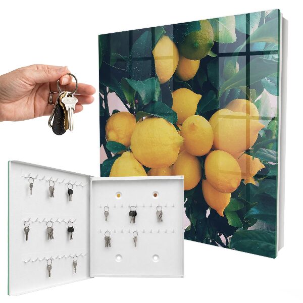 Key storage box Green leaves