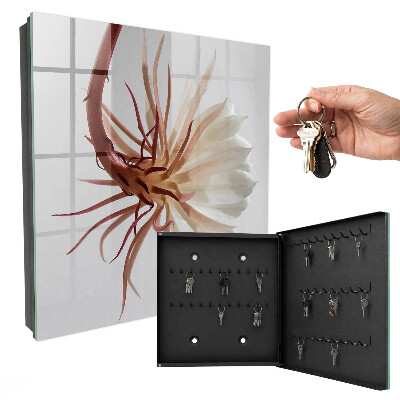 Key storage box The elegance of nature