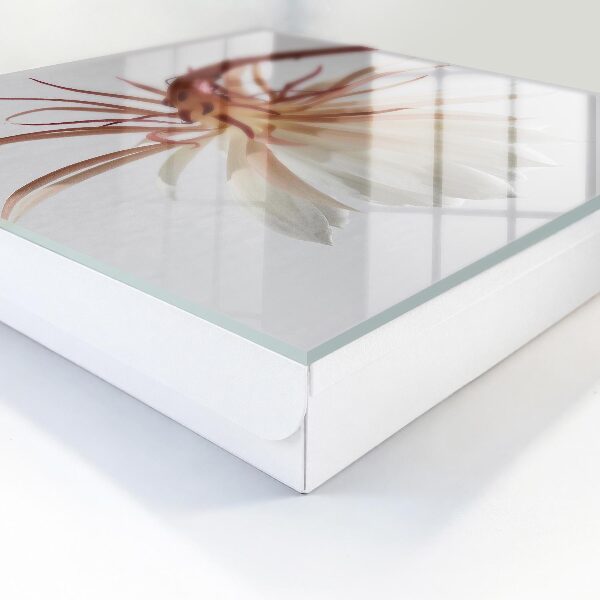 Key storage box The elegance of nature