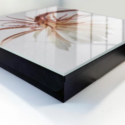 Key storage box The elegance of nature