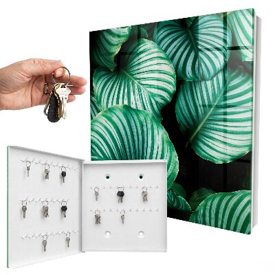 Key box Green leaves