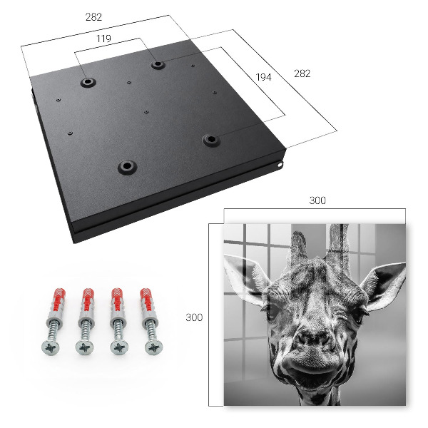 Key storage box Portrait of a giraffe