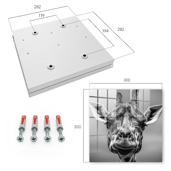 Key storage box Portrait of a giraffe