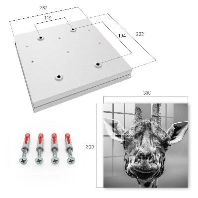 Key storage box Portrait of a giraffe