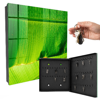 Key box The glow of the leaves