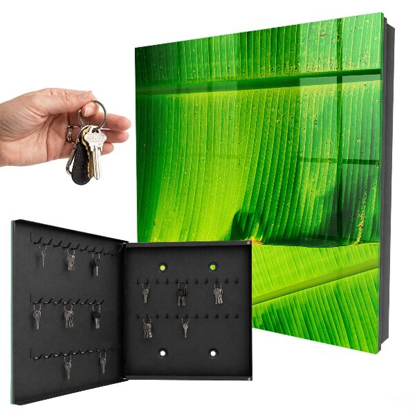 Key box The glow of the leaves