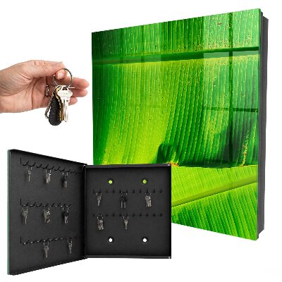 Key box The glow of the leaves