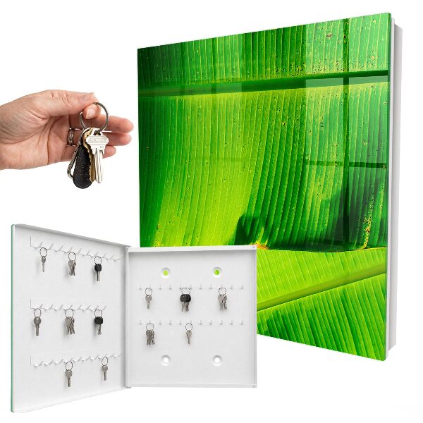 Key box The glow of the leaves