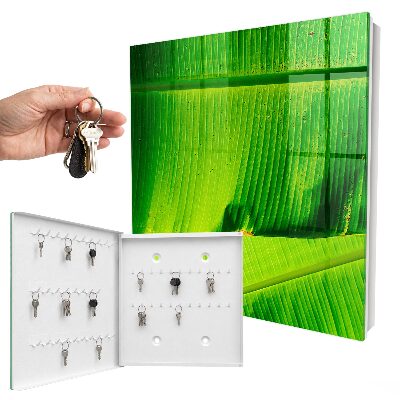 Key box The glow of the leaves