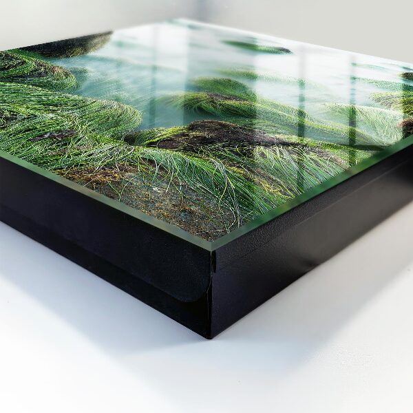 Key storage box Green waves