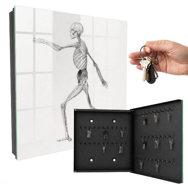 Key cabinet for wall Skeletal movement