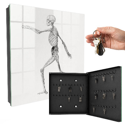Key cabinet for wall Skeletal movement