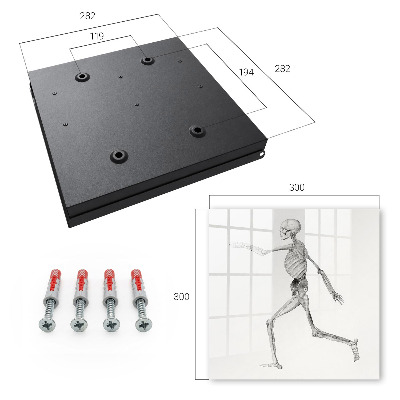 Key cabinet for wall Skeletal movement