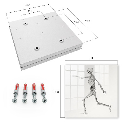 Key cabinet for wall Skeletal movement