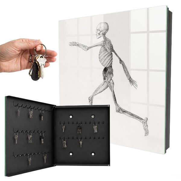 Key cabinet for wall Skeletal movement