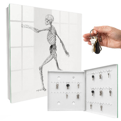 Key cabinet for wall Skeletal movement