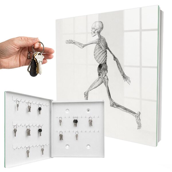Key cabinet for wall Skeletal movement