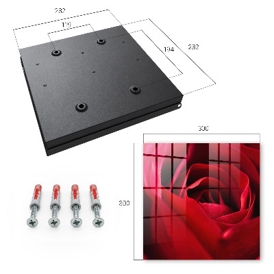 Key storage box Rose close-up