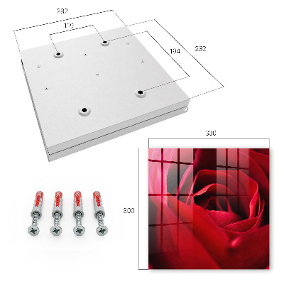 Key storage box Rose close-up