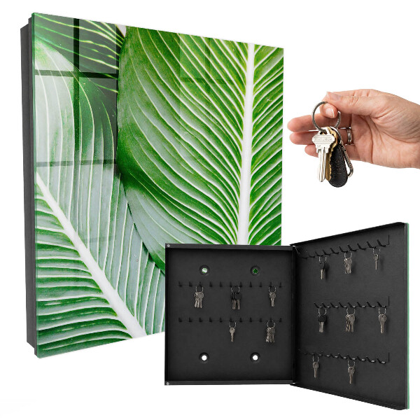 Key box The greenery of nature