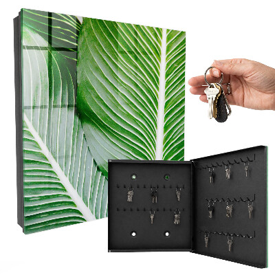 Key box The greenery of nature