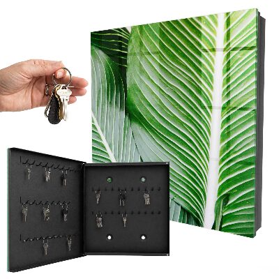 Key box The greenery of nature