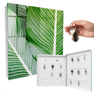 Key box The greenery of nature