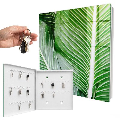 Key box The greenery of nature