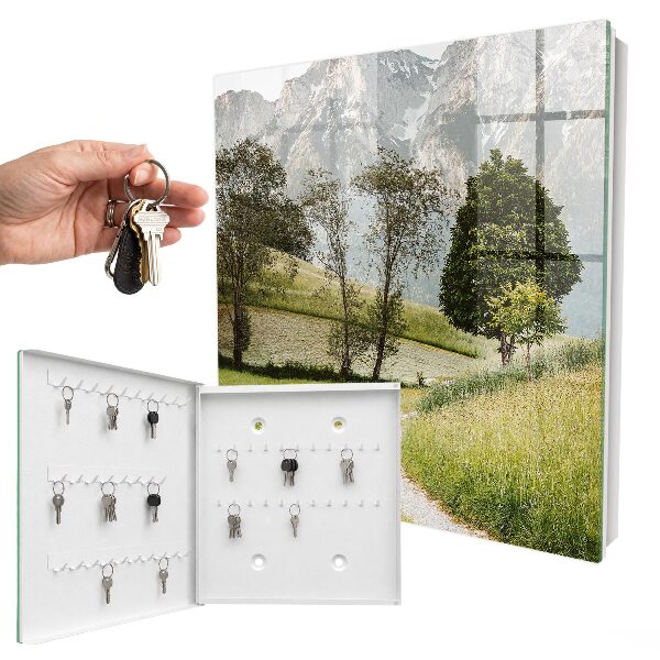 Key cabinet for wall Mountain landscape