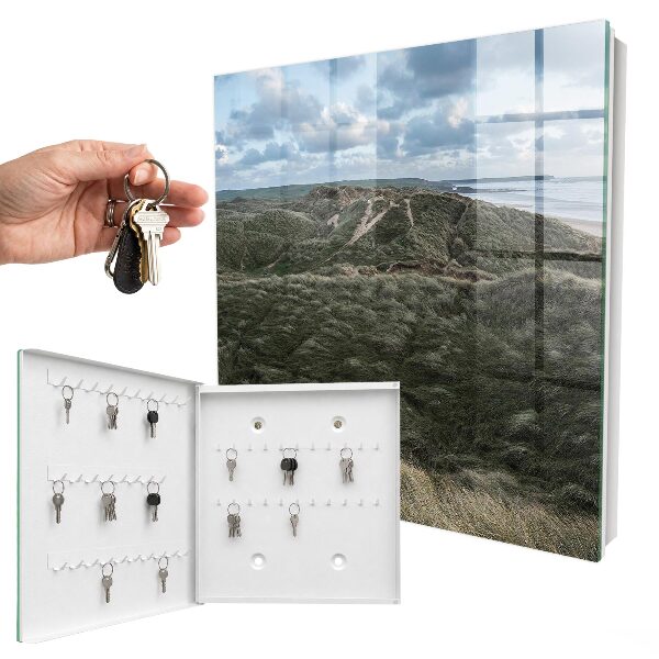 Key storage box Green hills