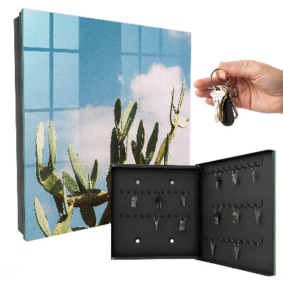 Key box Green cactus