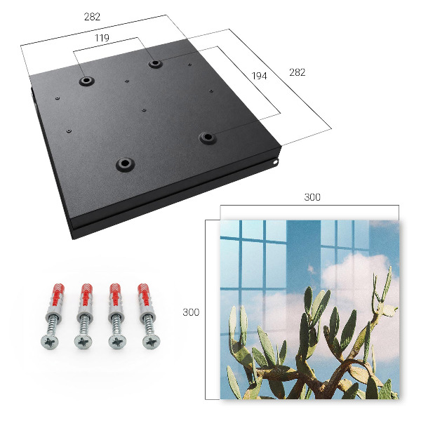 Key box Green cactus