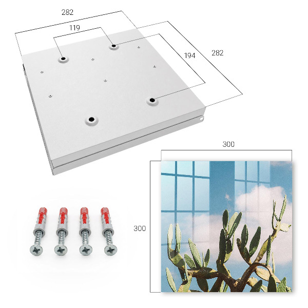 Key box Green cactus