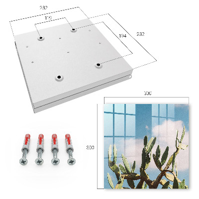 Key box Green cactus