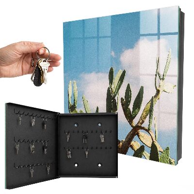 Key box Green cactus
