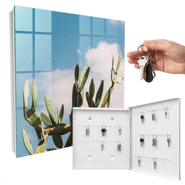 Key box Green cactus