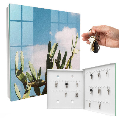 Key box Green cactus