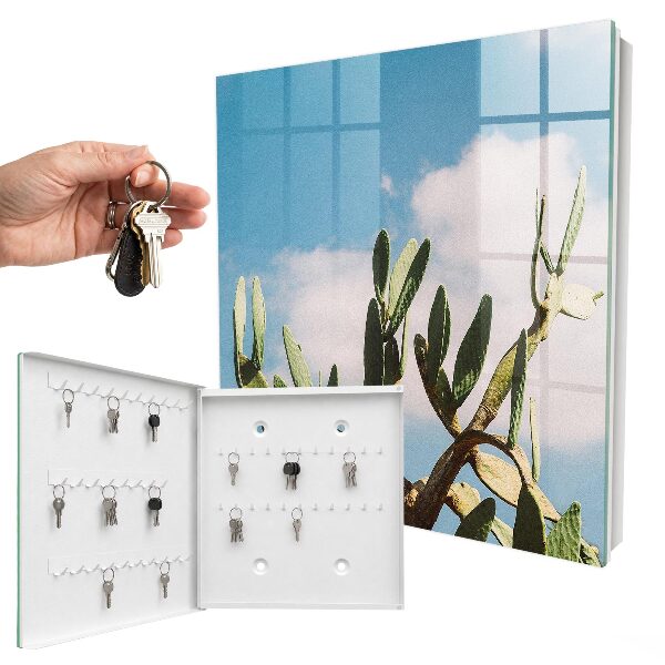 Key box Green cactus
