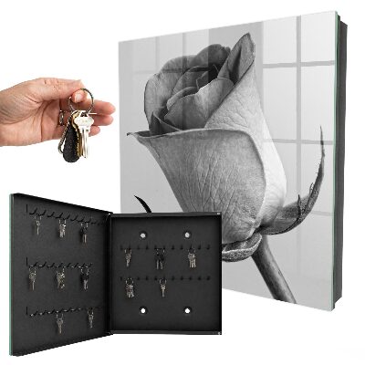 Key box Pink elegance