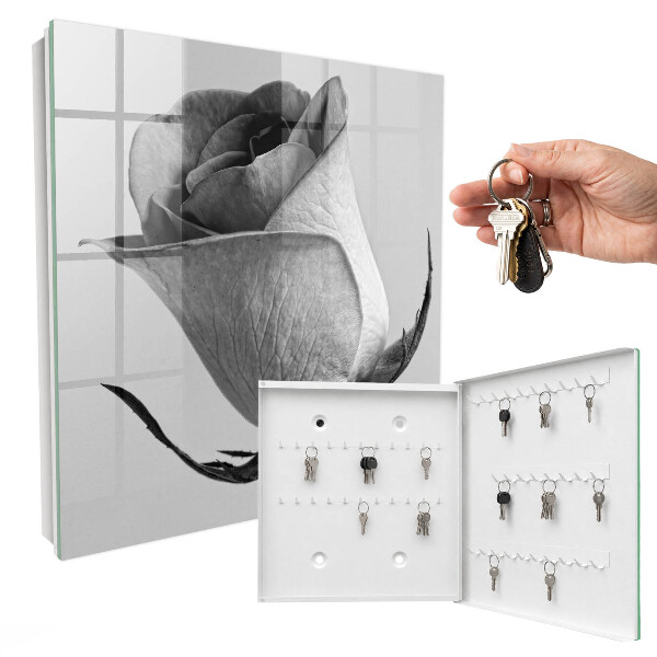 Key box Pink elegance