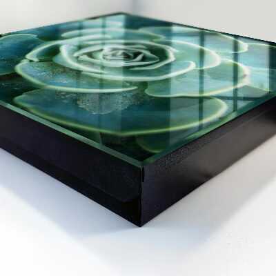 Key storage box Green rosette