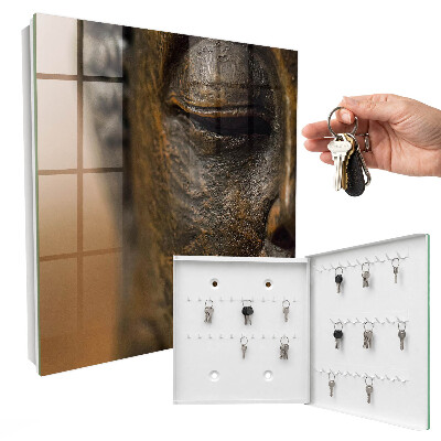 Key cabinet for wall Quiet elegance