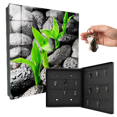 Key cabinet for wall Green nature