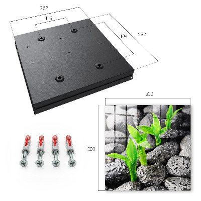 Key cabinet for wall Green nature