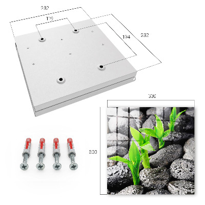 Key cabinet for wall Green nature